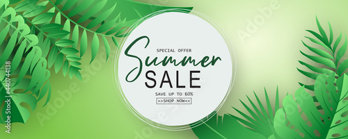 Elegant summer sale banner with tropical leaf theme