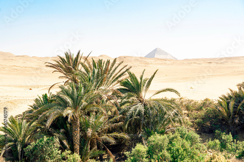 Date palm trees and sand dunes background the pyramid of Snefru in the Dahshur valley near from Giza and Cairo Egypt. photo