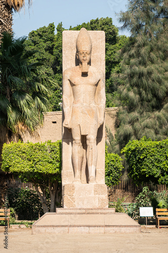 Standing statue of Ramses II on the background green palm trees in open air museum of Memphis, Egypt photo