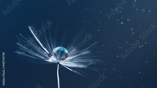 Macro nature. dandelion at blue background. Freedom to Wish. Dandelion silhouette fluffy flower. Seed macro closeup. Soft focus. Goodbye Summer. Hope and dreaming concept. Fragility. Springtime.