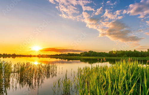 Scenic view at beautiful sunset with reflection on a shiny lake with green reeds  grass  golden sun rays  calm water  deep blue cloudy sky and glow on a background  spring evening landscape