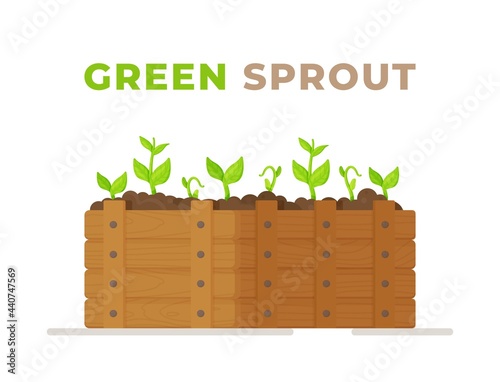 Growing plants. Growing vegetables. Seedling, the background of gardening. Vector illustration.