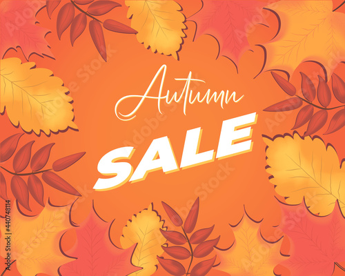 autumn leaves background