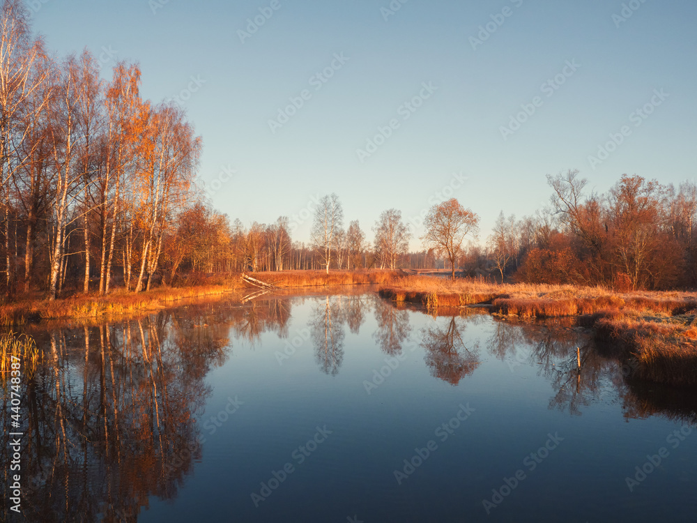 Sunny morning landscape with autumn pond.