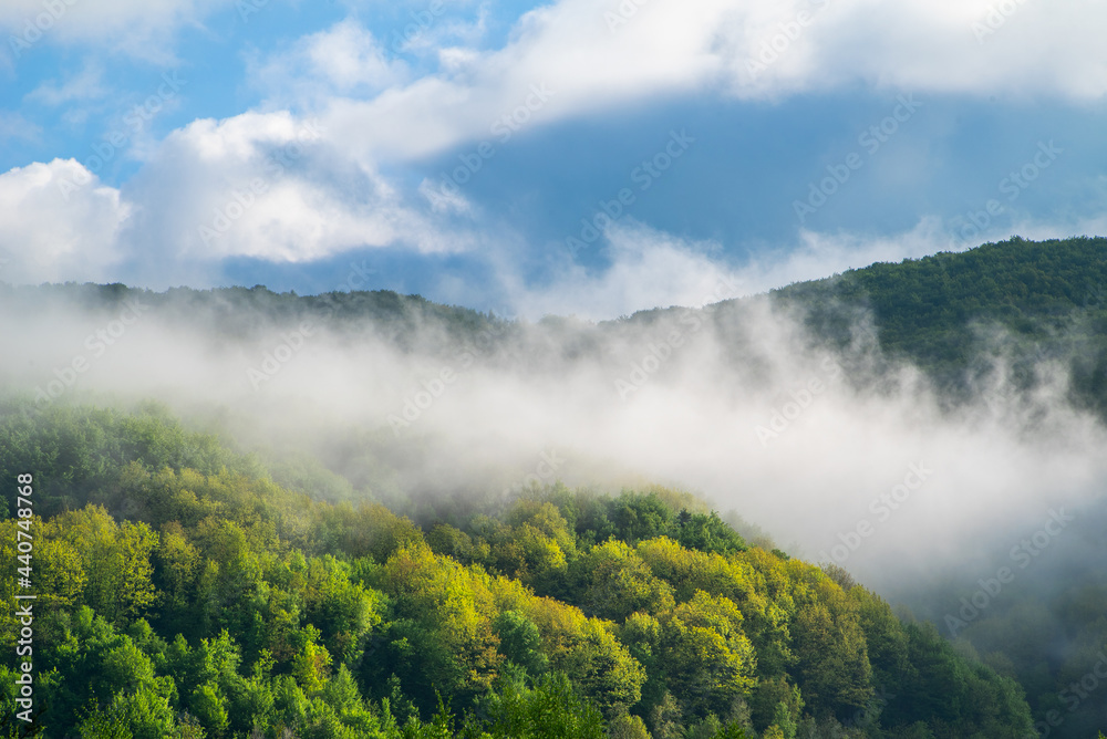 beautiful fog in the mountain forest at sunrise. Weather in the mountains. beautiful fog in the mountain forest at sunrise. Weather in the mountains.
