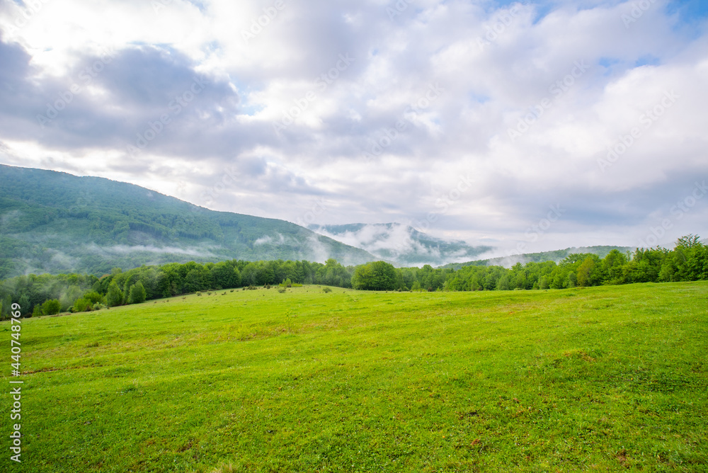 glade covered with grass near the mountains in the fog in the morning. Nature landscape. the sky is covered with clouds.