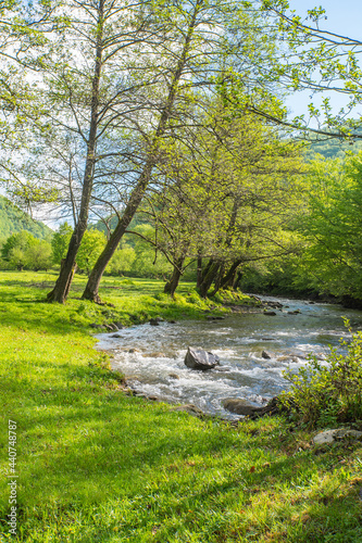 the river flows near a glade covered with grass and trees at the beginning of the day.