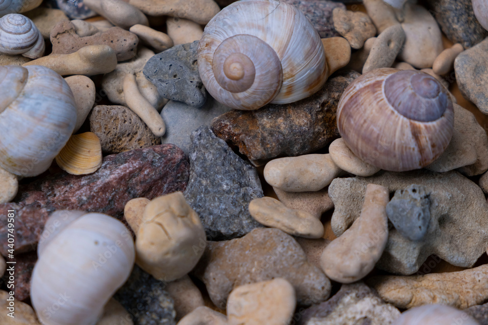 stones and seashells, beach sea background or material, up