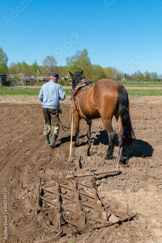 Man farmer with a horse harrowing a field on a sunny day. Concept of spring work in the field. Vertical photo