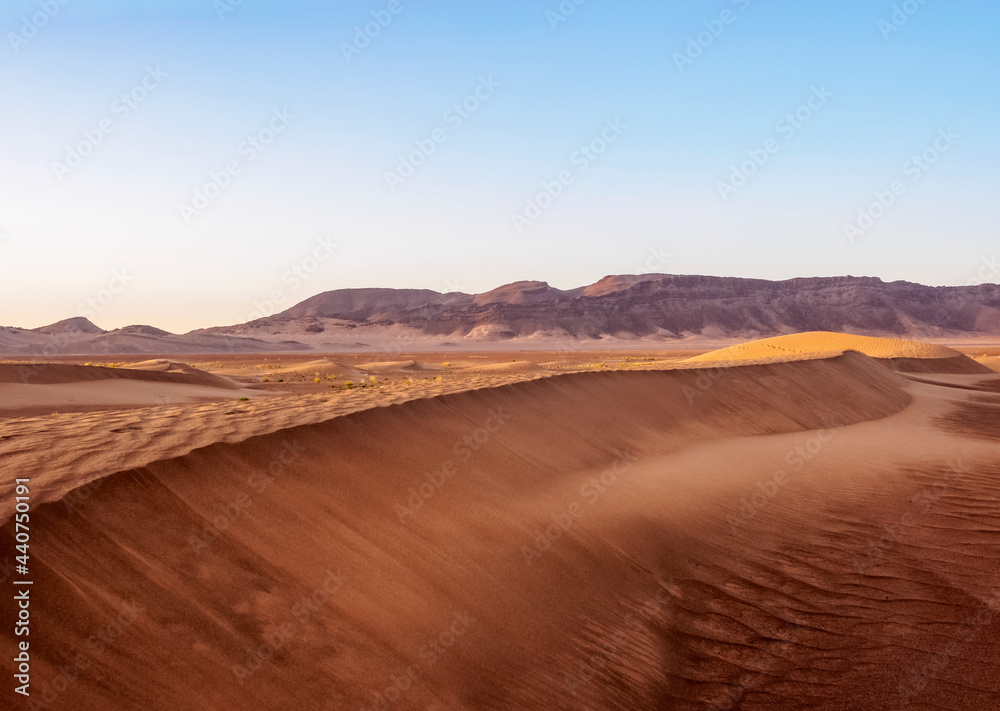 Zagora Desert at sunrise, Draa-Tafilalet Region, Morocco
