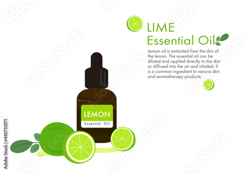 lime herb for essential oil extraction in medical treatment vector ep02