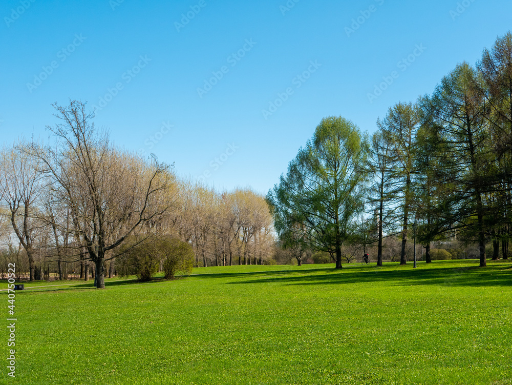 Bright sunny spring day in Kolomenskoye park, Moscow. View of the lawn with young green grass and trees against the blue sky.