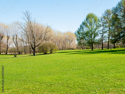 Bright sunny spring day in Kolomenskoye park, Moscow. View of the lawn with young green grass and trees against the blue sky.