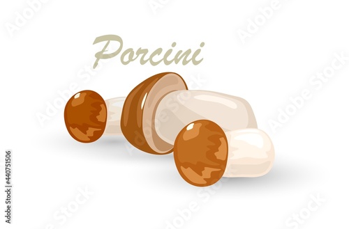 Organic product, wild raw fungus, natural healthy nutrition, vegetarian ingredient. Vector botanical, forest plant, uncooked product, cooking idea. Isolated on white background