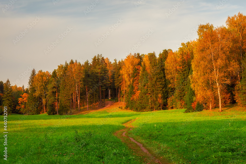 Fototapeta premium A path through the field to the autumn forest.