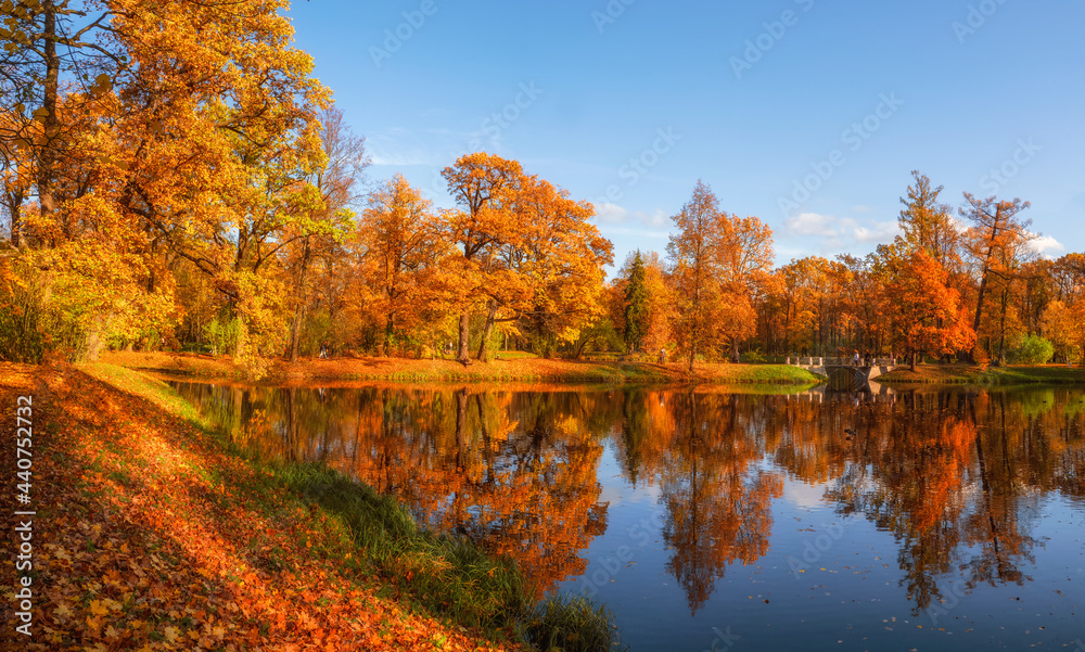 Sunny autumn public park with golden trees over a pond and people walking around. Tsarskoe Selo.
