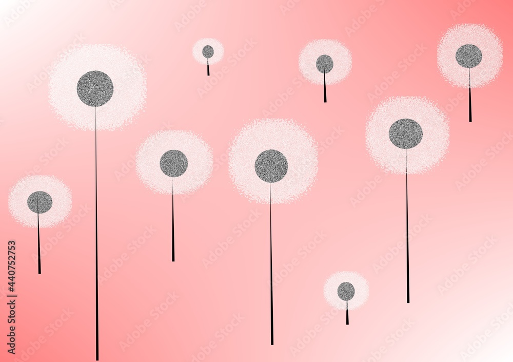 dandelion illustration