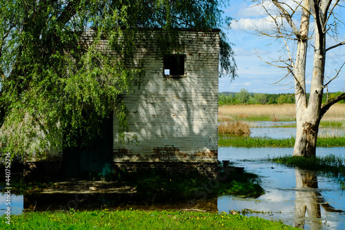 Swamp with blue water in the morning. Idyllic rural landscape with old building.
