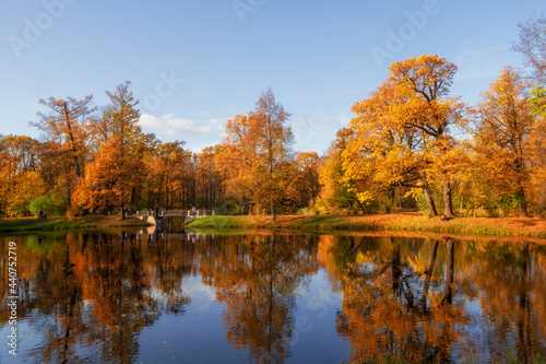 Sunny autumn public park with golden trees over a pond and people walking around. Tsarskoe Selo. Russia
