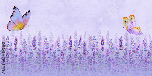 Meadow lavender horizontal ...