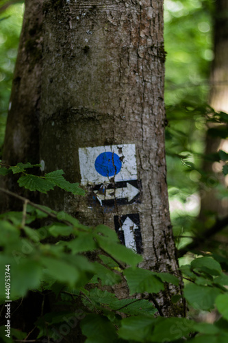 blau-weißes Wandersymbol