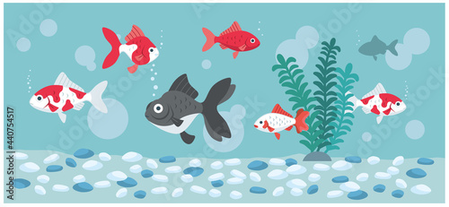 いろいろな金魚が泳ぐイラスト素材