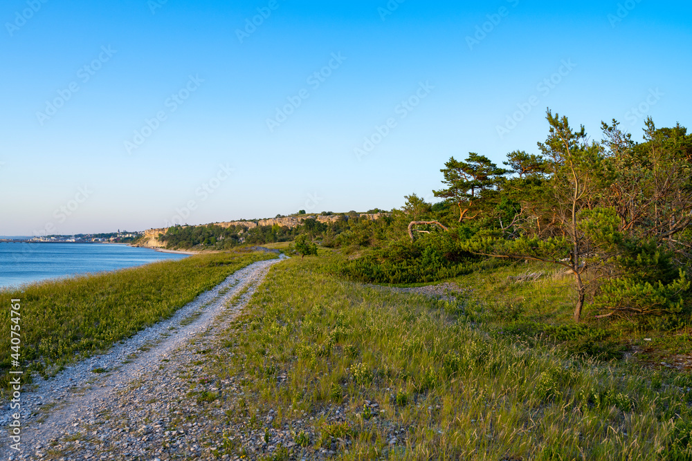 Dirt road next to the ocean