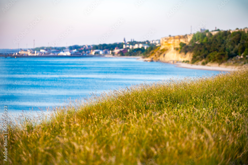 Long green grass with ocean background