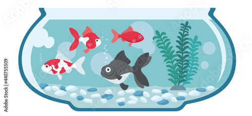 いろいろな金魚と金魚鉢のイラスト素材