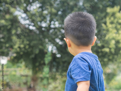Photography Back view of a little boy while standing in a garden