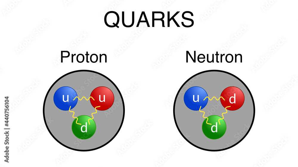 Down Quark