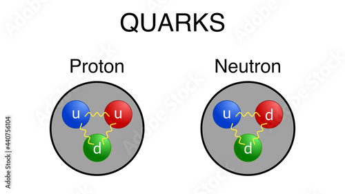 Illustration of up and down quarks in proton and neutron. photo