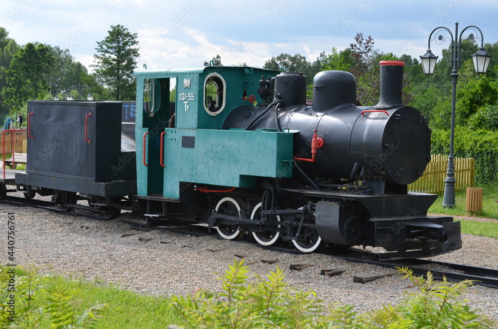 Fototapeta premium Dąb , Bartek , Zagnańsk , Zagnańsk dąb Bartek stary Dąb ,Zagnańsk , plac zabaw , Zagnańsk