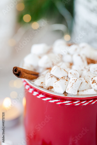 Hot winter drink  delicious warm chocolate with marshmallow and cinnamon. Holiday atmosphere  festive mood  fir tree branches as decor. White background  christmas lights  close up