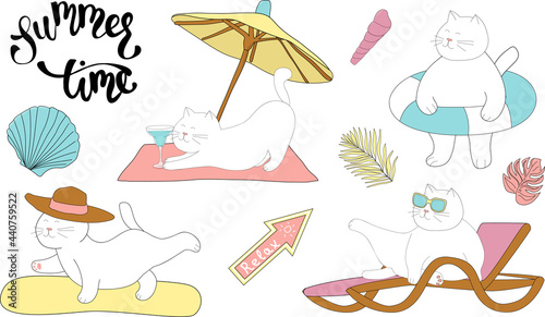Set of funny white cat is enjoying the summer. Kitten with a lifebuoy. The cat is drinking a cocktail, resting on a lounger.