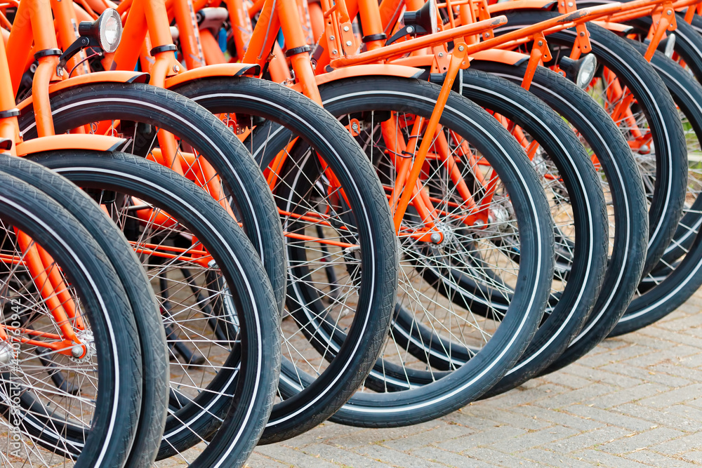 Row of orange Dutch rental bicycles