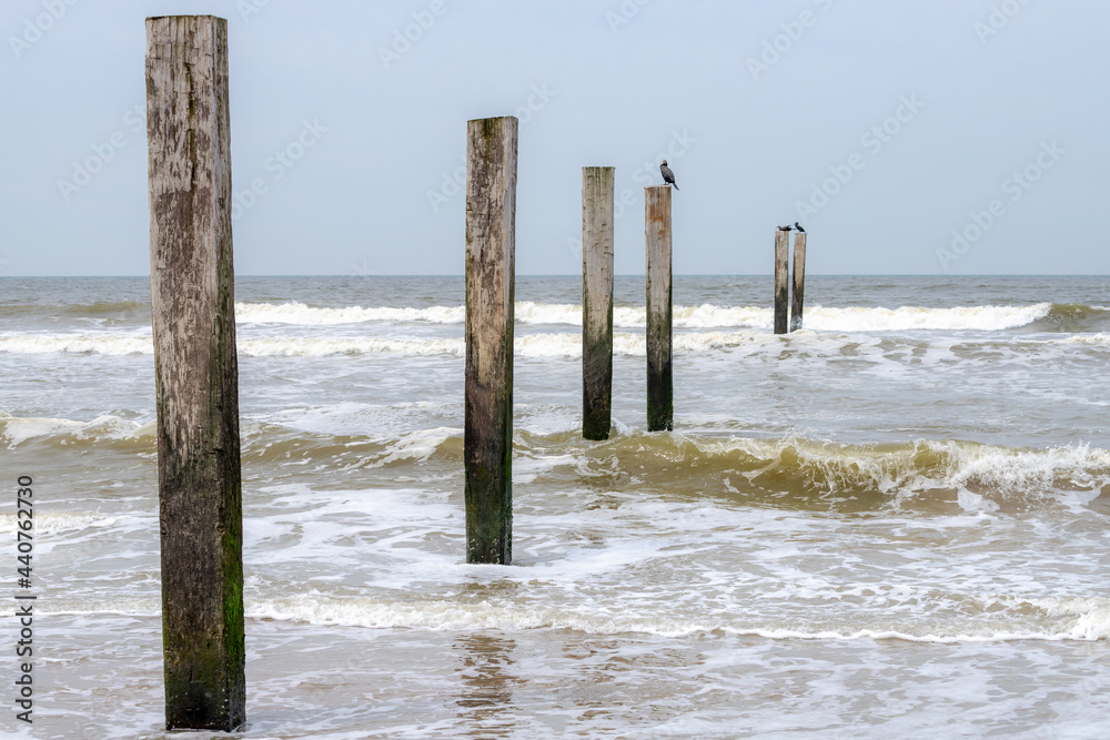 Summer landscape view with sea wave and wooden pole with blue sky background, High speed shutter of splashing waves at Dutch north sea coastline, North Holland, Netherlands. Summer landscape view with sea wave and wooden pole with blue sky background, High speed shutter of splashing waves at Dutch north sea coastline, North Holland, Netherlands.