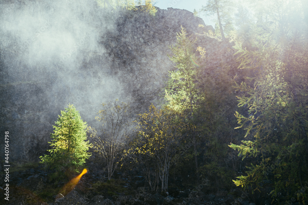 Fototapeta premium Bright landscape with water cloud of drops from waterfall on background of rocky mountain wall with autumn trees in golden sunlight. Beautiful water cloud near rock above yellow trees in gold sunshine