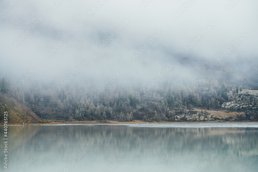 Bleak autumn landscape with mountain lake and coniferous forest with trees in hoarfrost on hillside in thick low cloud. Atmospheric view to yellow larches with frost on hill in dense fog in low light.