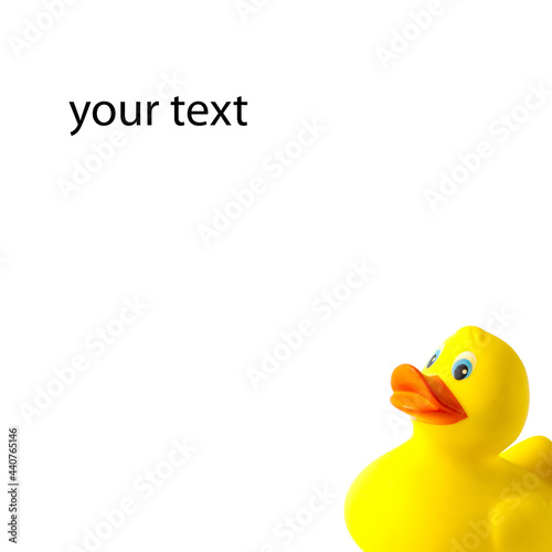 duckling children's toy on a white background for text