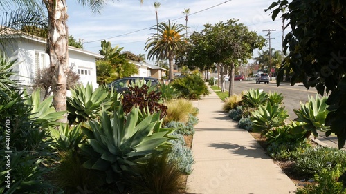 Houses on suburban street in California USA  Oceanside. Generic buildings in residential district near Los Angeles. Real estate property exterior. Tropical gardens  palms near typical american homes.