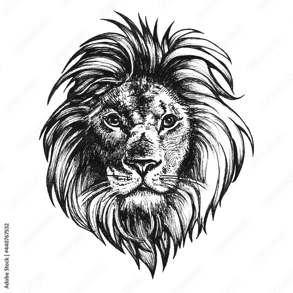 Obraz premium Hand Drawn Portrait of Lion. Black and White Illustration