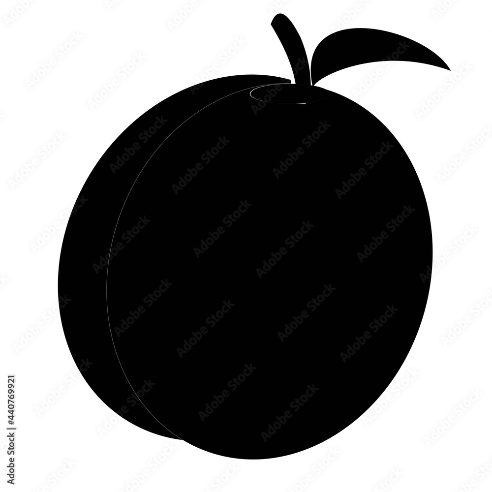 Fototapeta premium fruit illustration vector