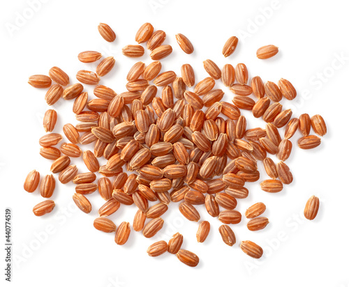 raw short-grain brown rice isolated on white background, top view