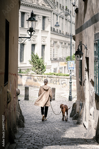 Spaziergang mit Hund © Sacha