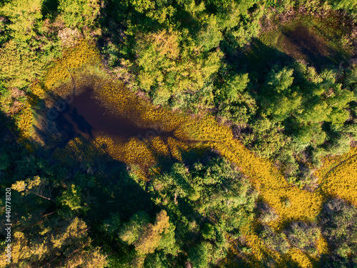 Wild river aerial drone shot
