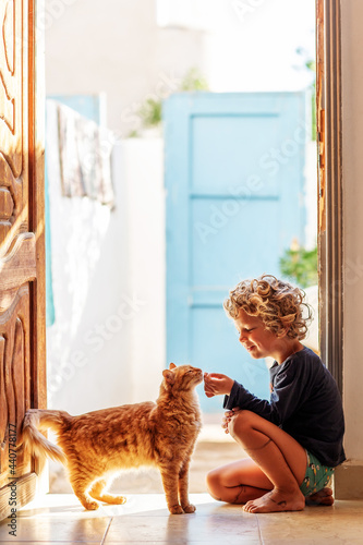 The boy feeds the cat at home