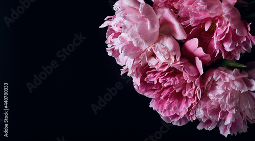 Fototapeta Naklejka Na Ścianę i Meble -  panoramic floral banner. beautiful pink peonies on a black background with place for text. minimalistic composition in a dark key. flat lay, moody floral, copy space