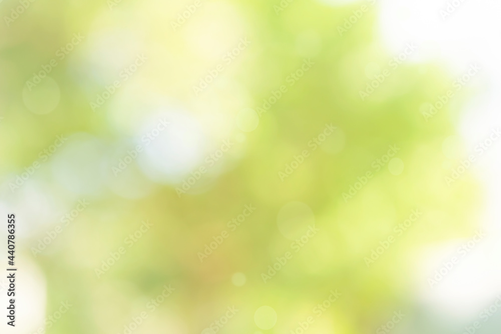 Fototapeta Nature bokeh blur abstract background with sunlight and green tree