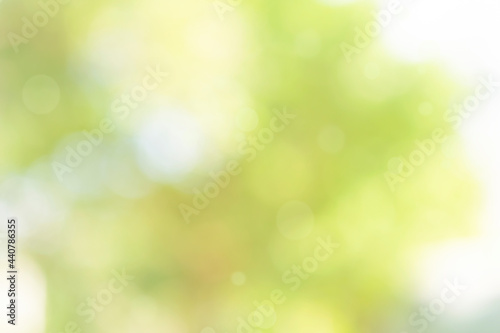 Nature bokeh blur abstract background with sunlight and green tree © merrymuuu